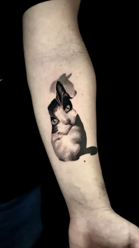 Tatuaggio realistico gatto Lugano